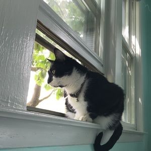 Meet your Posher, Renée